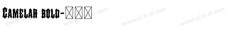 Camelar bold字体转换
